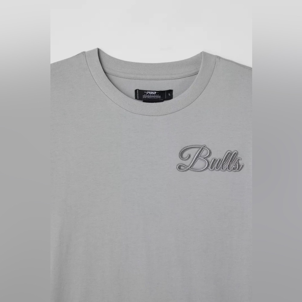 NWT Pro Standard UO Exclusive Chicago Bulls NBA Tee - Picture 3 of 4